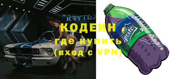 крисы Магас