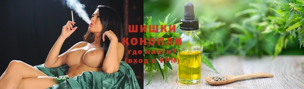 гашик Майский