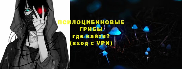 крисы Магас