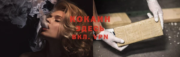 гашик Майский