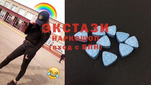 гашик Майский