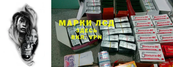 крисы Магас