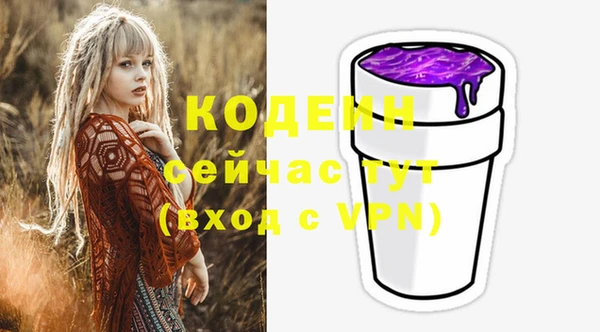 гашик Майский