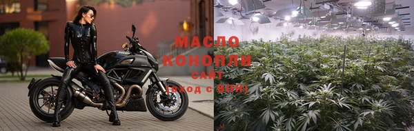 гашик Майский