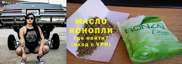 крисы Магас