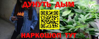 шишки Гай