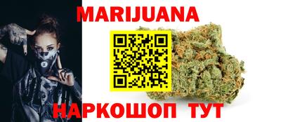 шишки Гай