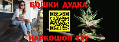 шишки Гай