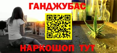шишки Гай