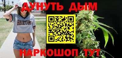 шишки Гай