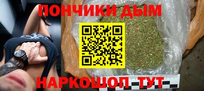 шишки Гай