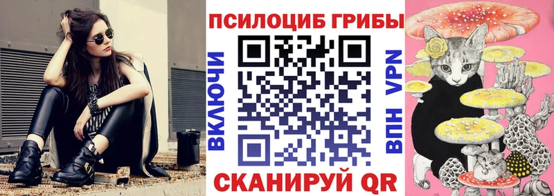 OMG маркетплейс  Заринск  даркнет формула  Галлюциногенные грибы Cubensis 