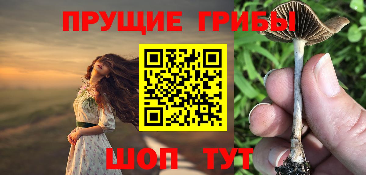 Псилоцибиновые грибы мицелий Заринск