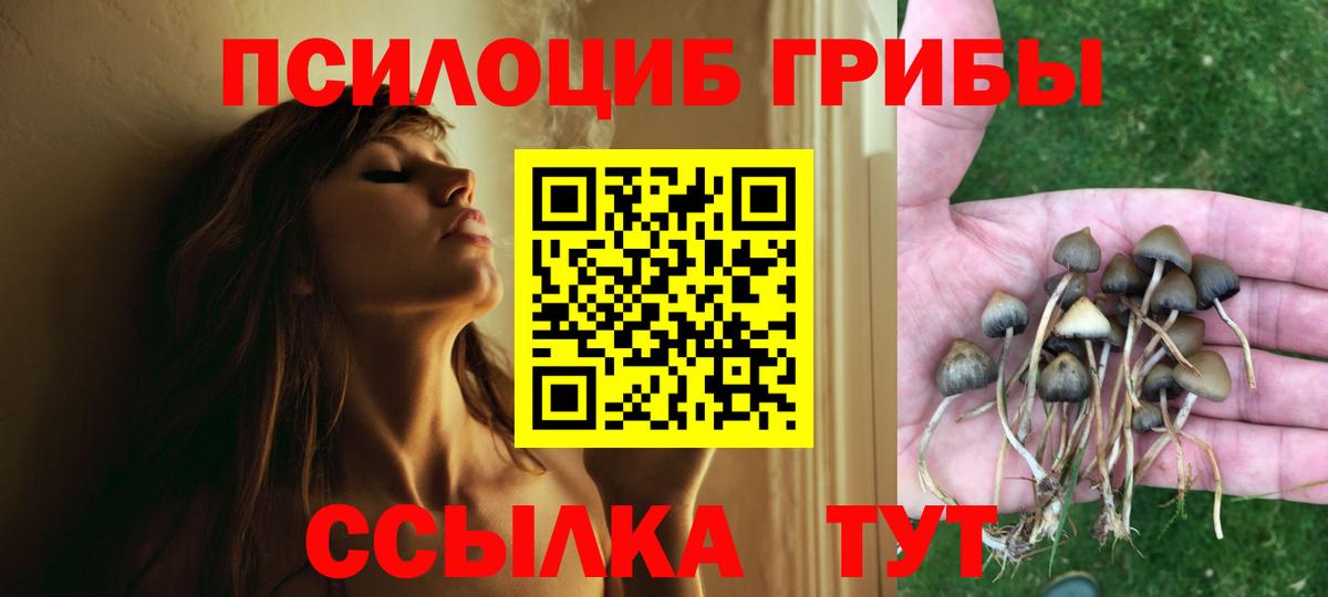 Галлюциногенные грибы Cubensis  Вход с VPN  Галлюциногенные грибы прущие грибы  Заринск 